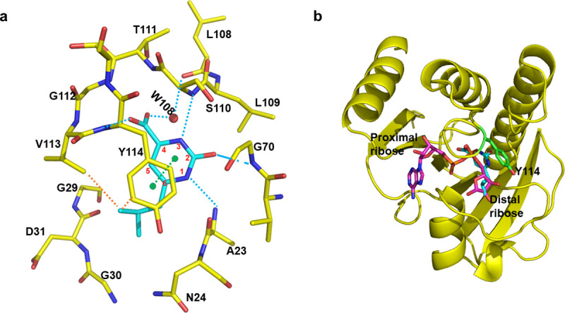 Fig 3