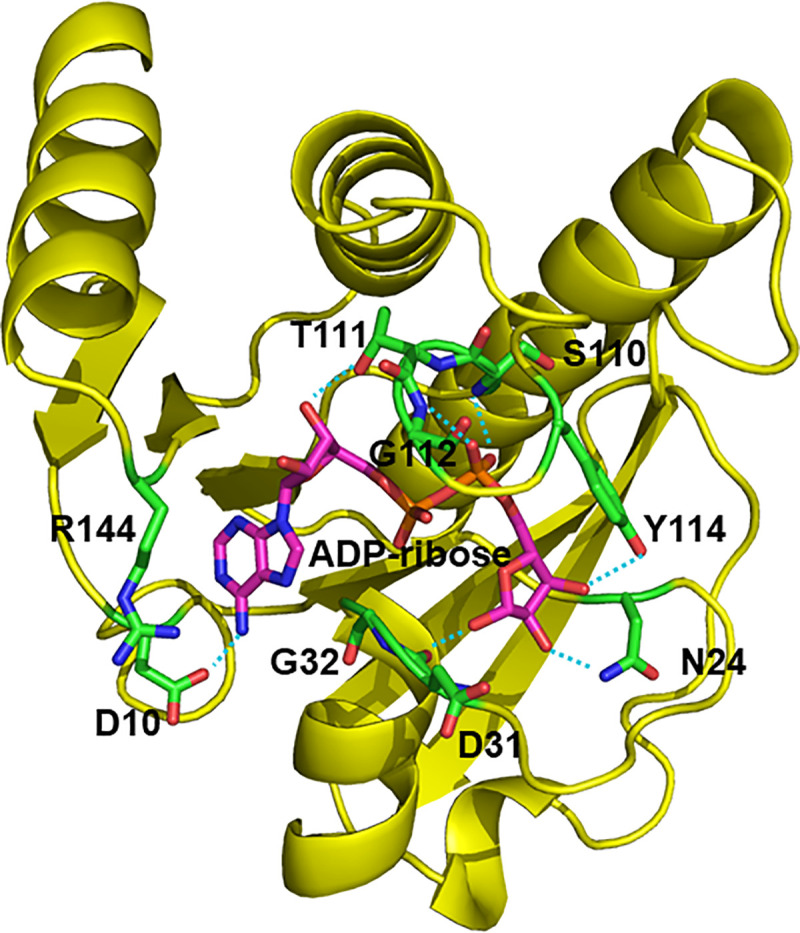 Fig 1