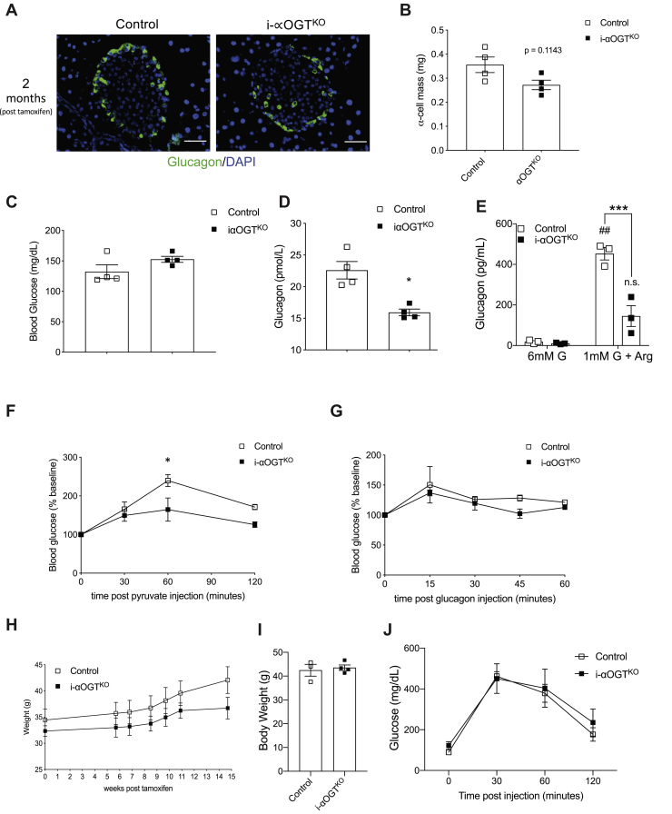 Figure 6