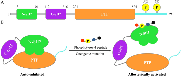 Figure 1