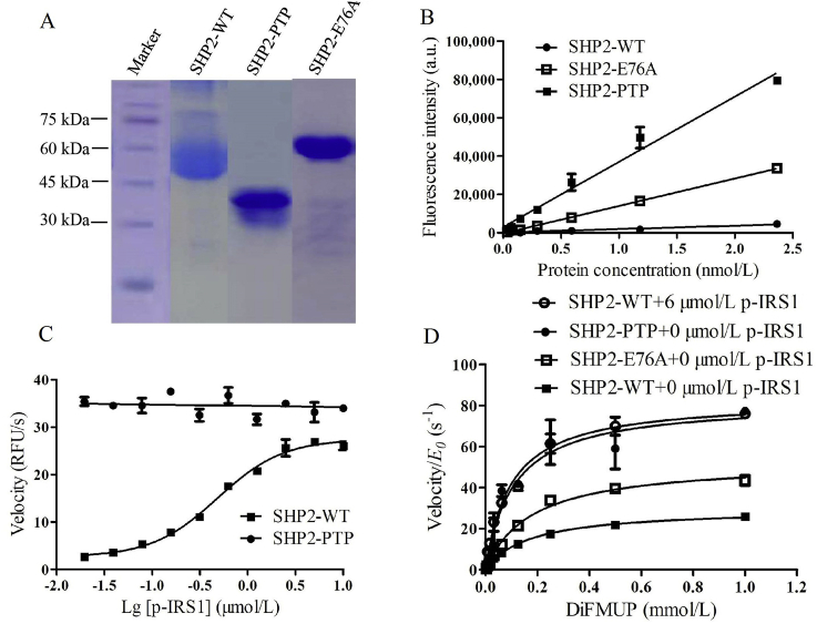 Figure 4