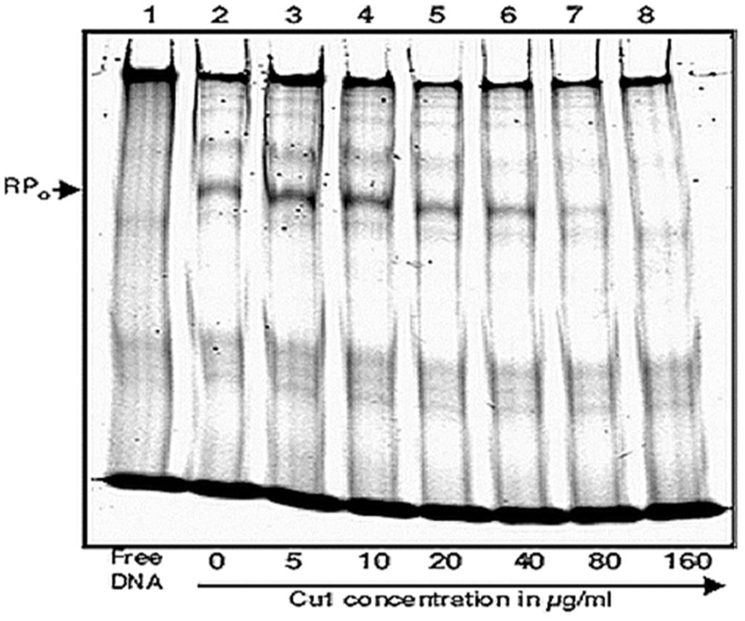 Fig. 9B