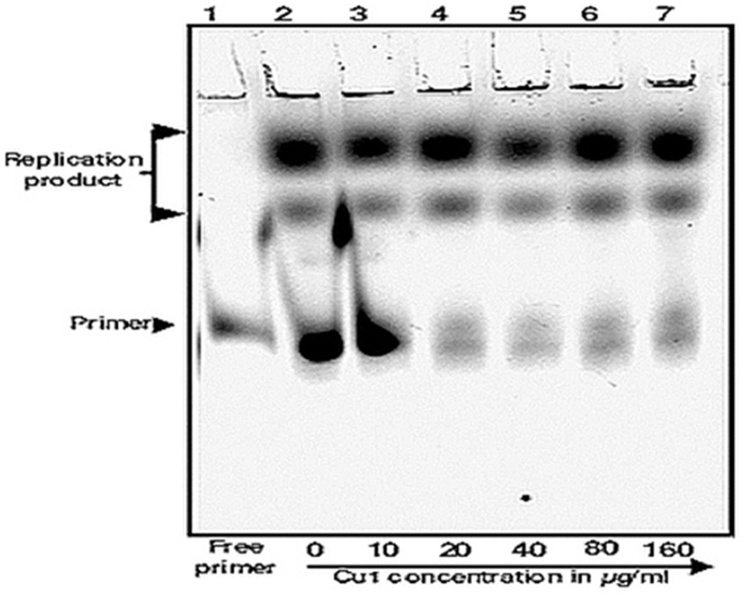 Fig. 8B