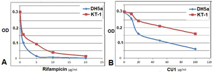 Fig. 2B