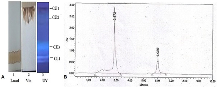 Fig. 1