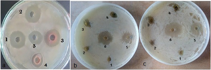 Fig. 2A