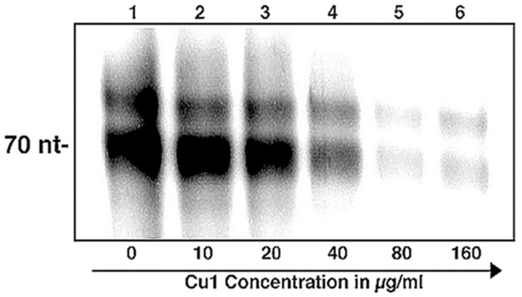 Fig. 8A