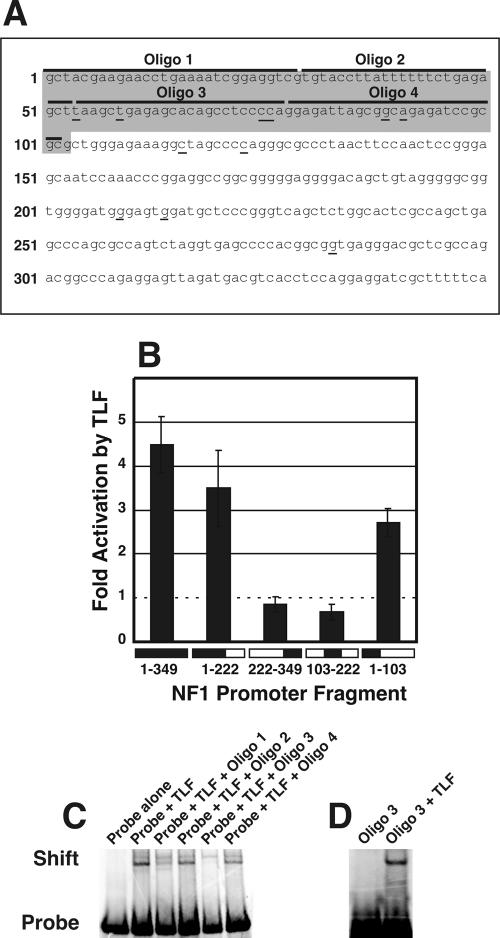 FIG. 6.