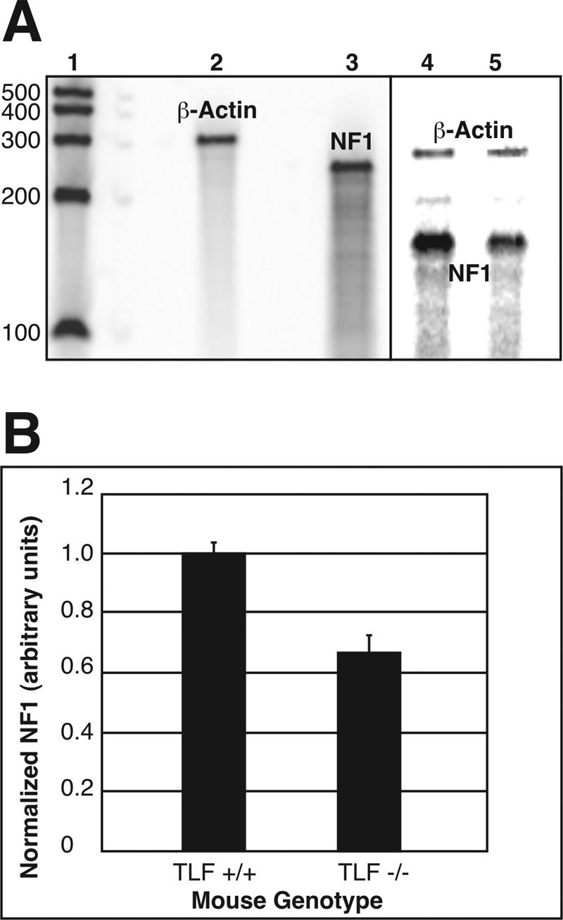 FIG. 5.