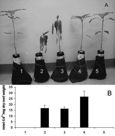 FIG. 4.