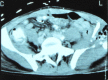 Fig.1