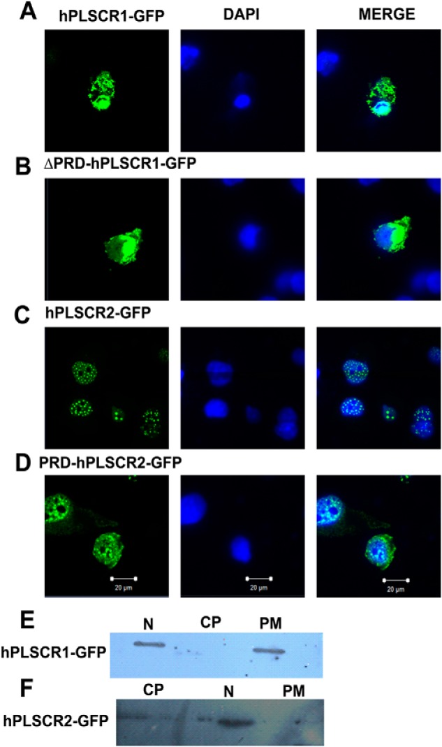 FIGURE 3.