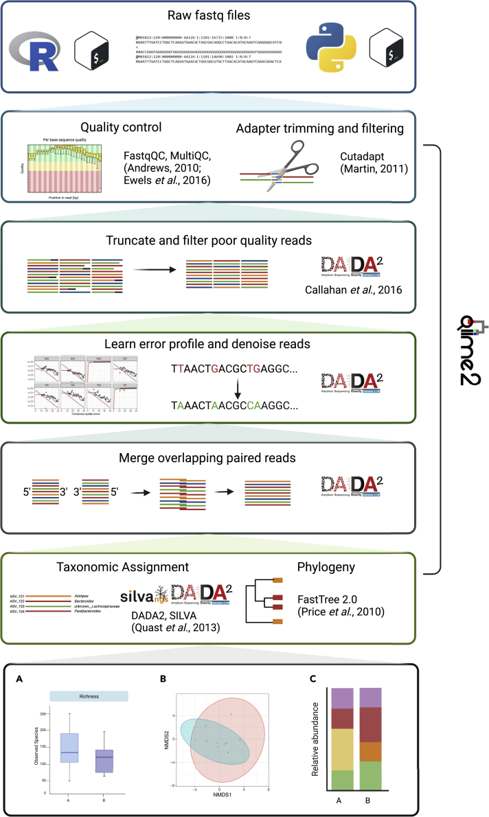 Figure 2