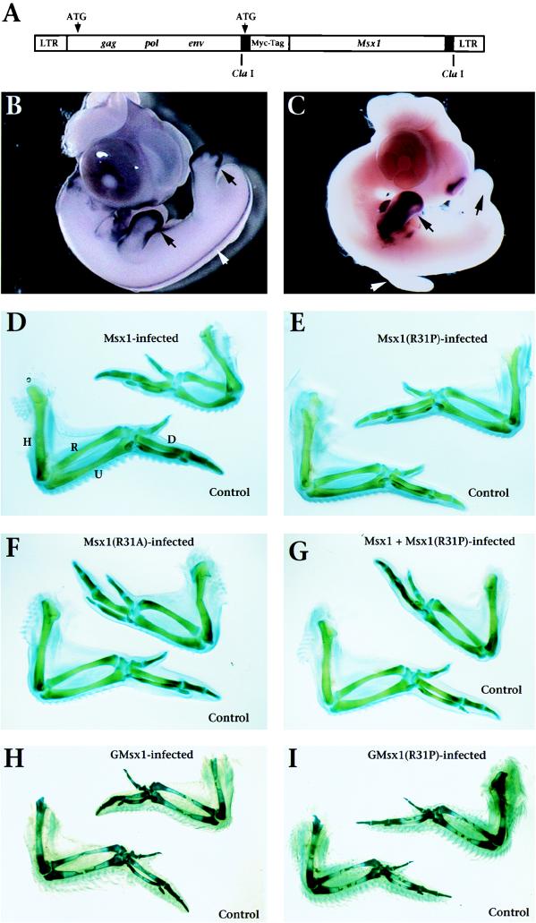 FIG. 7