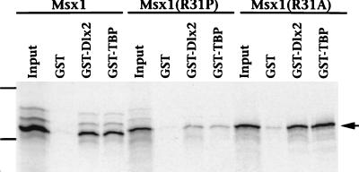 FIG. 5