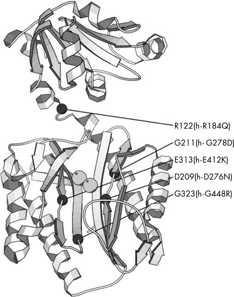 graphic file with name mg43315.f3.jpg