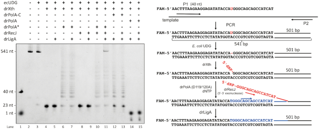 Figure 4.