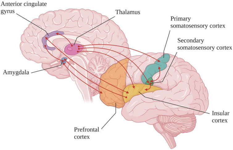 FIGURE 3