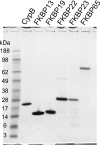 Figure 1.