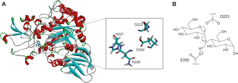 Fig 1