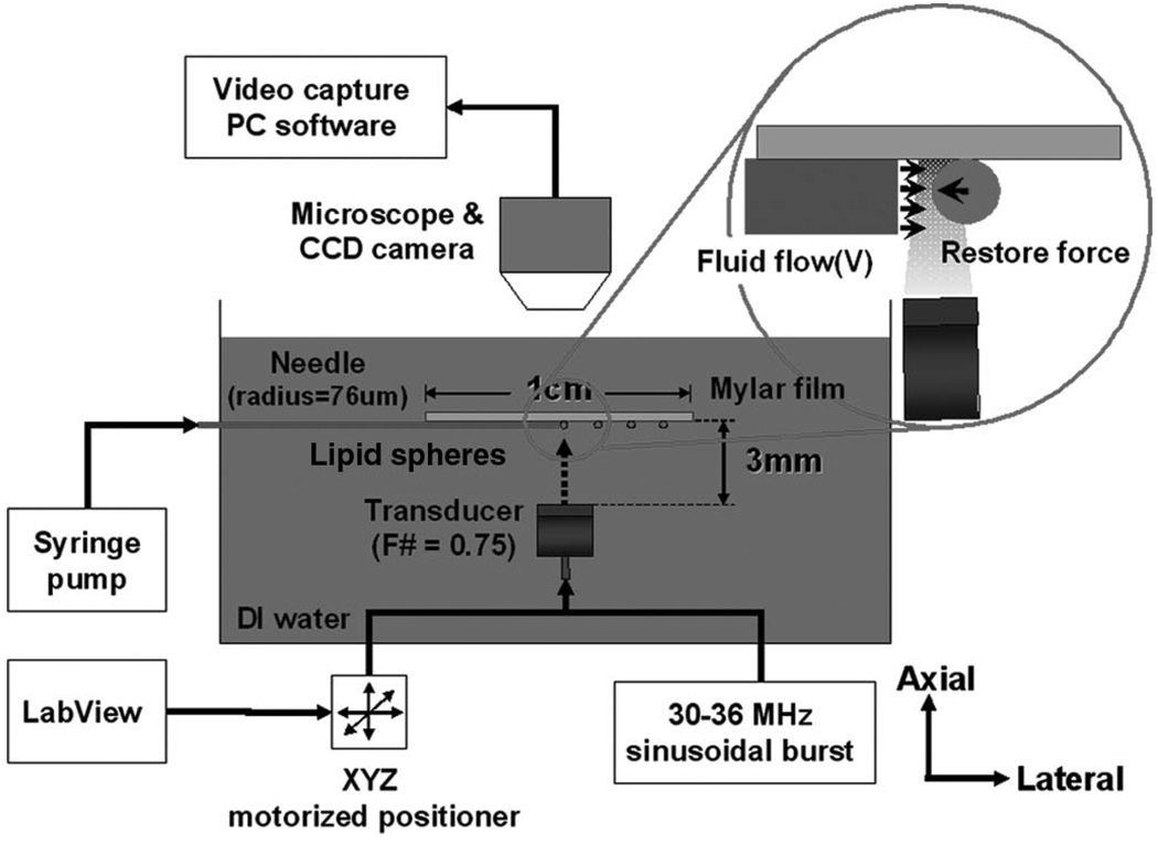 Fig. 2