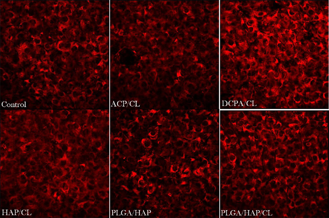 Fig.14