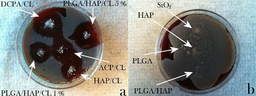 Fig.6