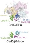 Figure 1—figure supplement 3.
