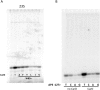 Figure 3—figure supplement 1.