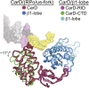 Figure 1—figure supplement 4.
