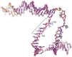 Figure 1—figure supplement 6.