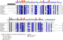 Figure 2—figure supplement 1.