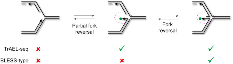 Fig 5