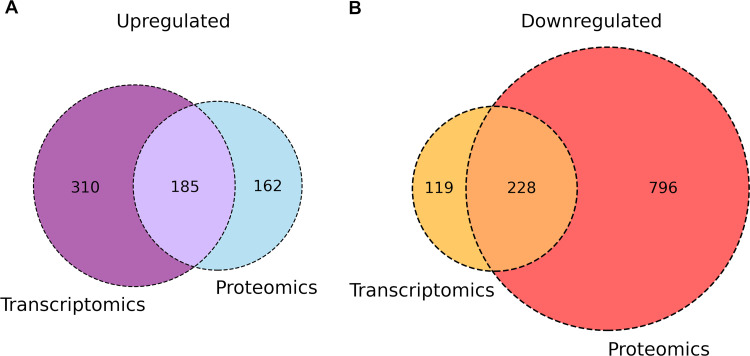 FIG 12