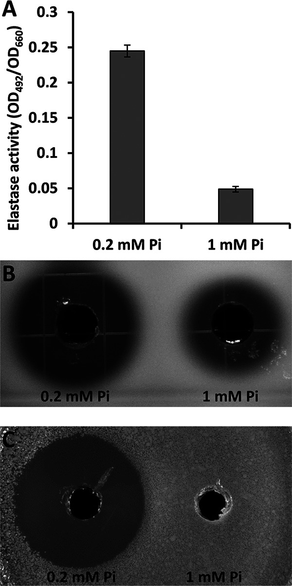 FIG 2