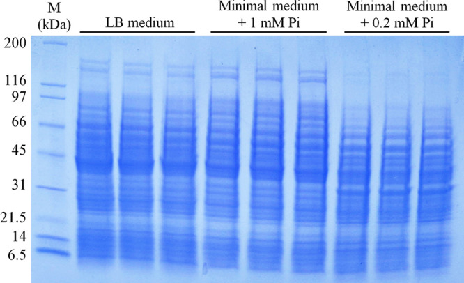 FIG 3