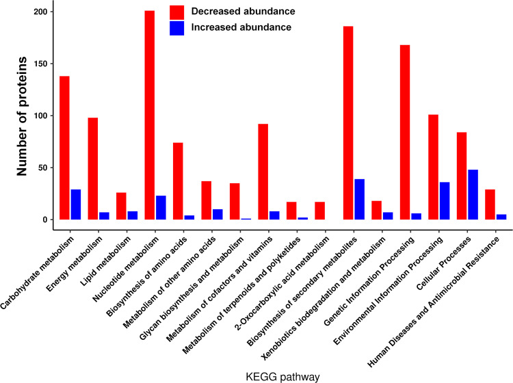 FIG 6