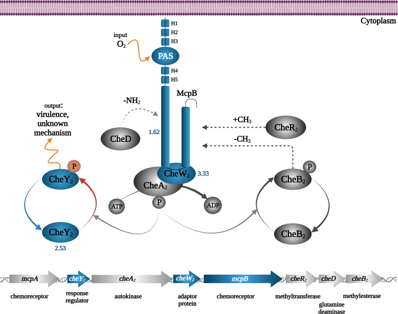 FIG 10