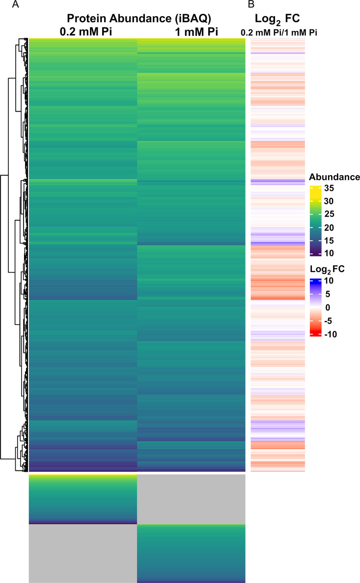 FIG 4