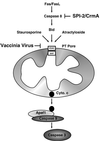 FIG. 10
