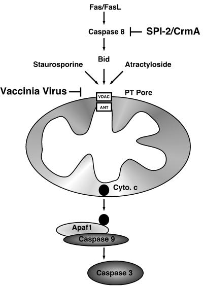 FIG. 10