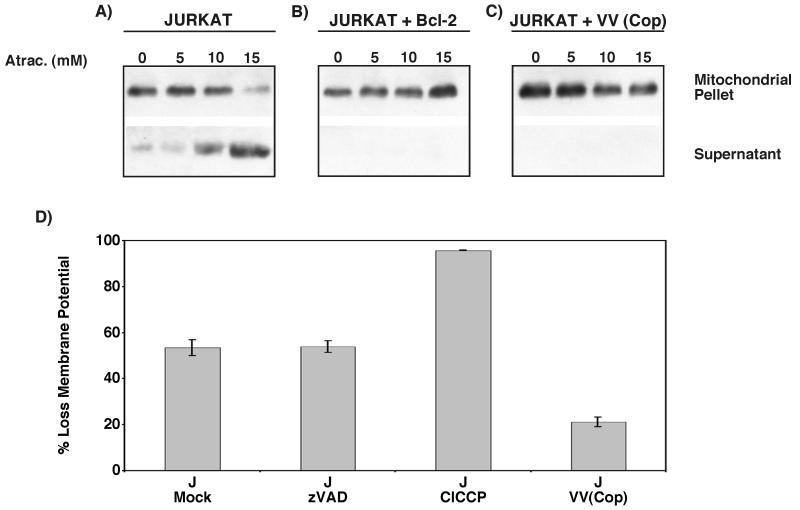 FIG. 9