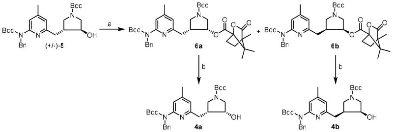 Scheme 1