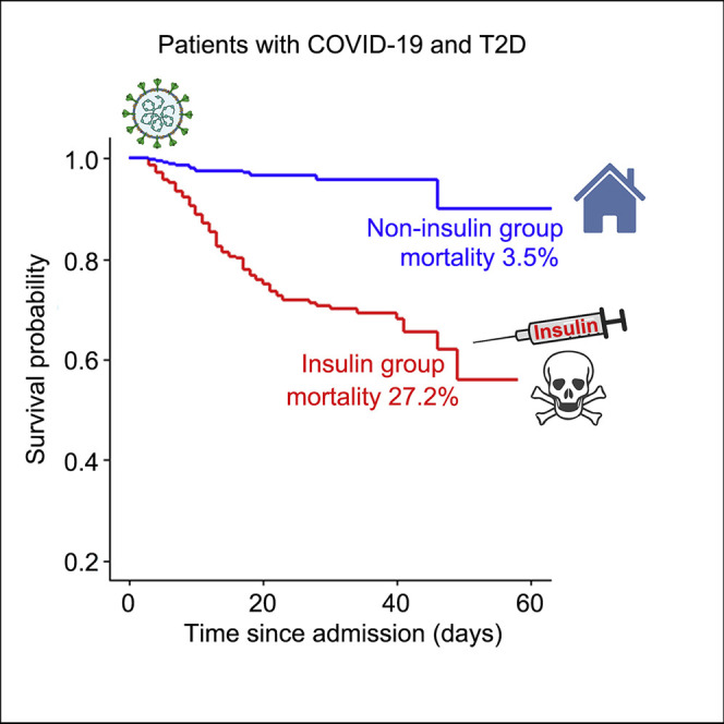 graphic file with name fx1_lrg.jpg