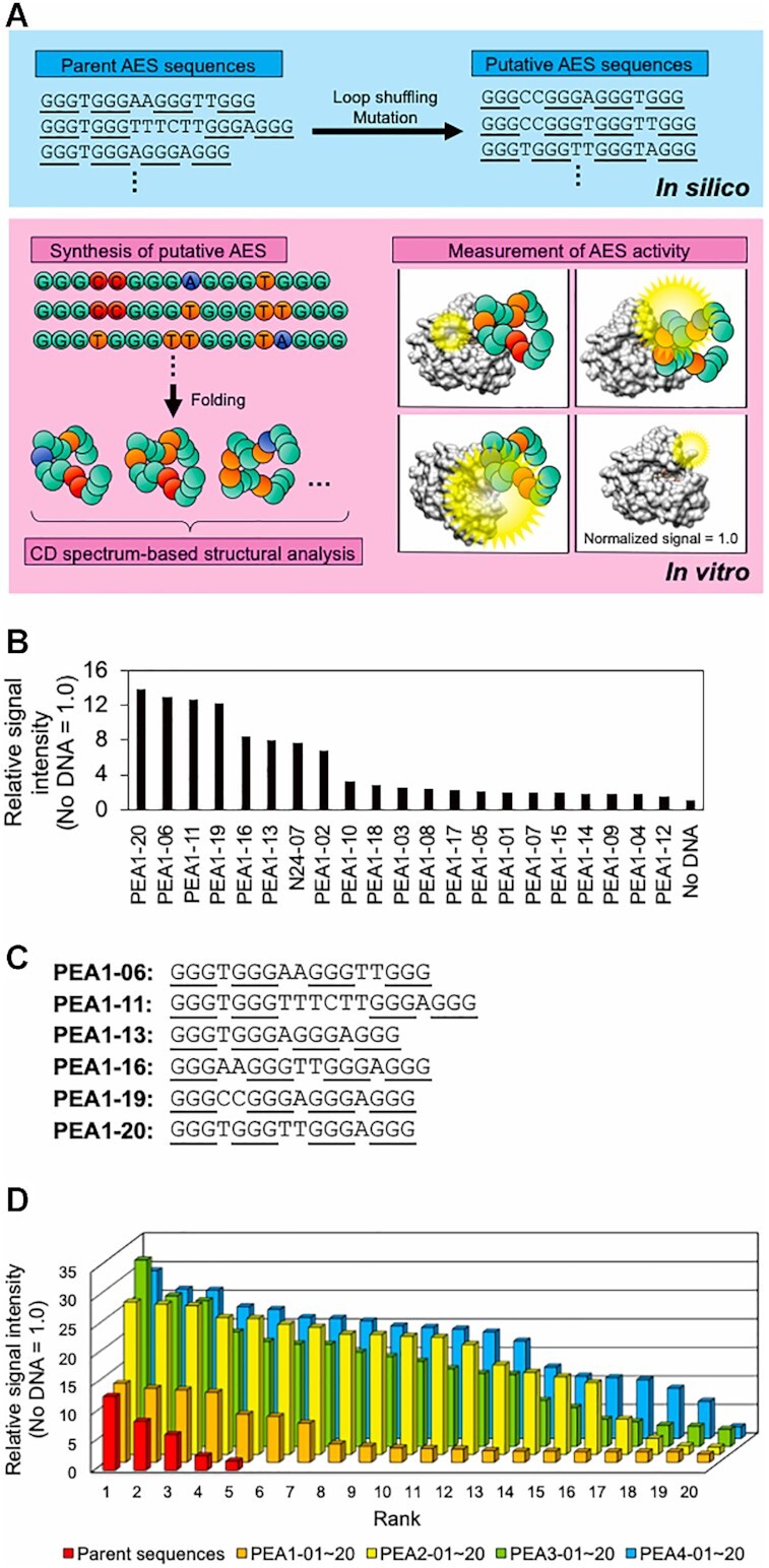 Figure 2.