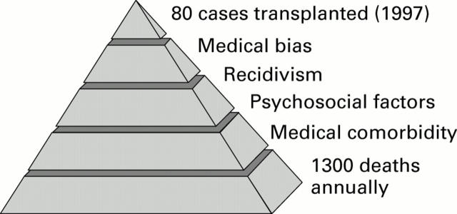 Figure 7  