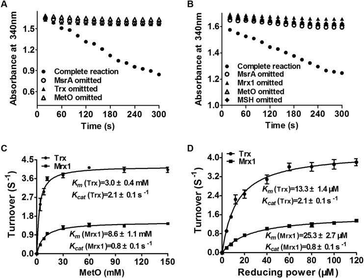 FIG 2