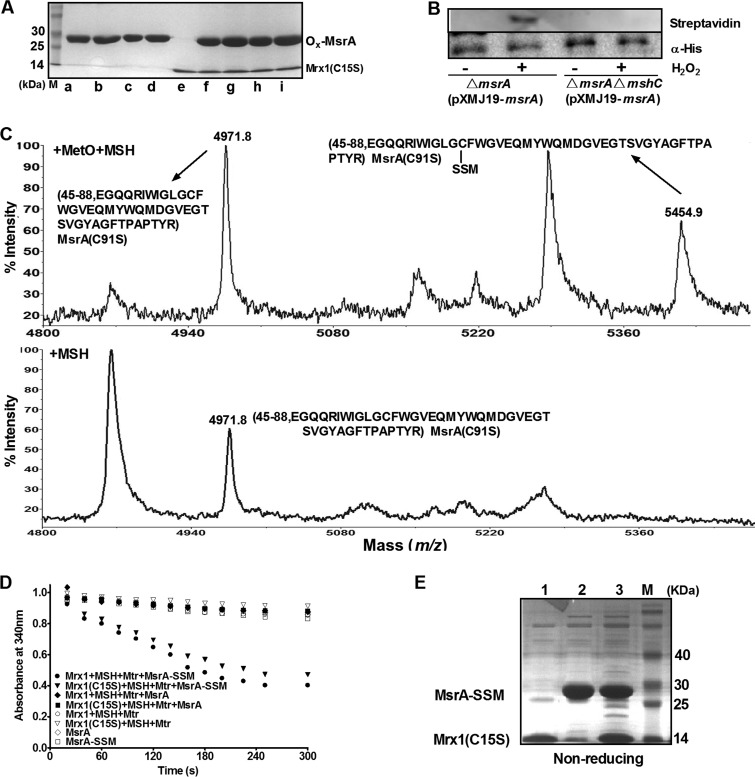 FIG 8