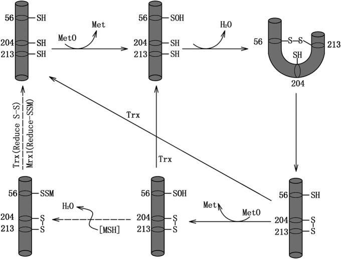 FIG 9