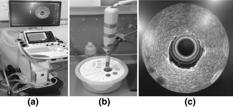 Fig. 7